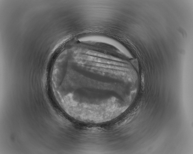X0000113050396200909241459