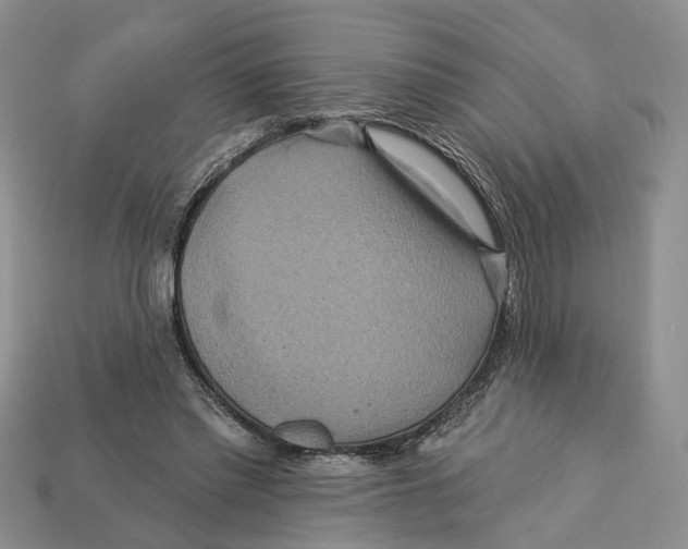 X0000113050397200909241459