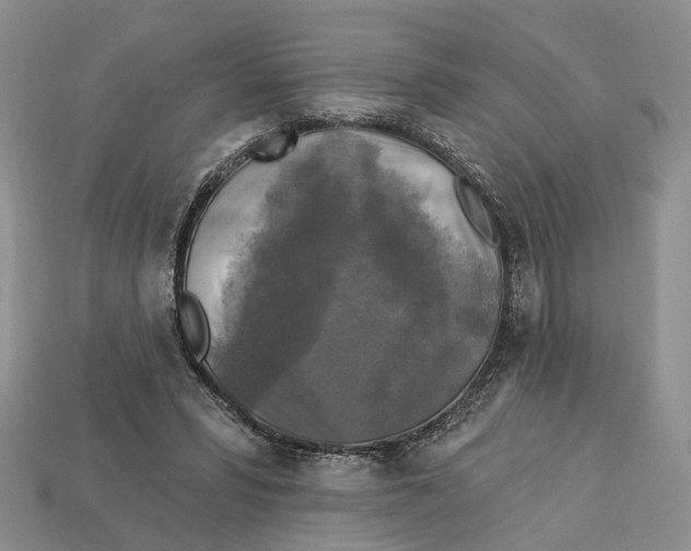 X0000113050399200909241459