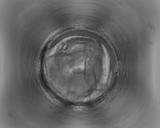 X0000113050400200909241459