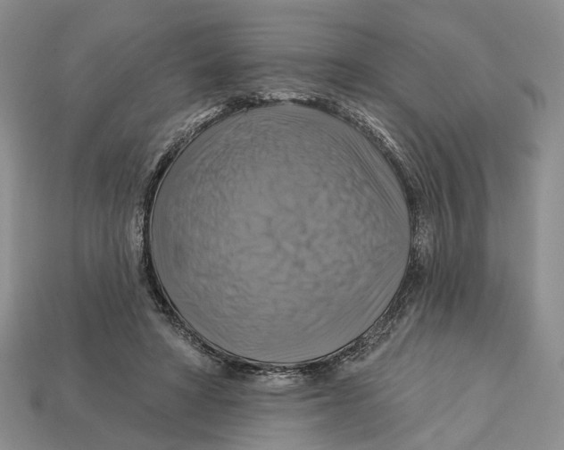 X0000113050402200909241459