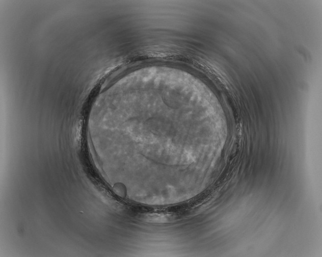 X0000113050404200909241459