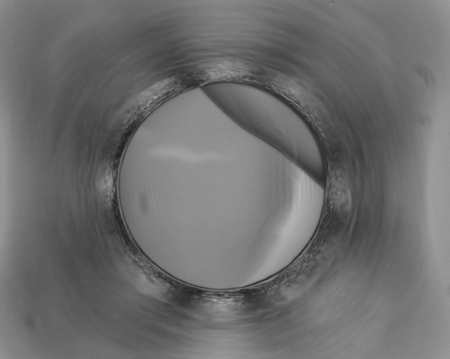 X0000113050405200909241459