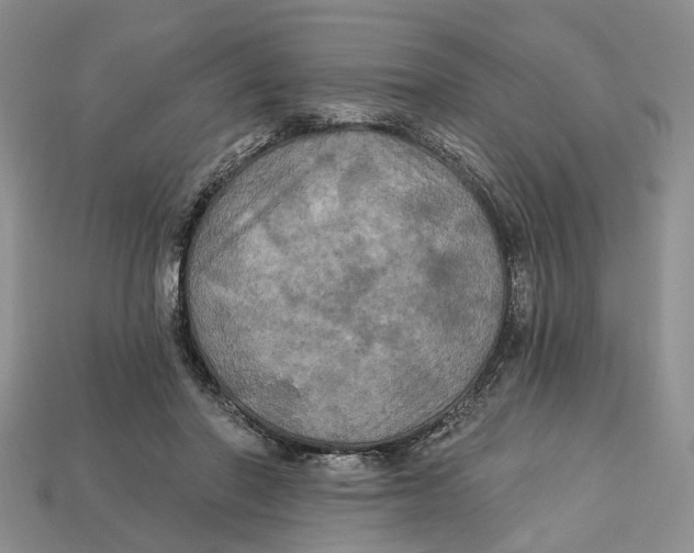 X0000113050406200909241459