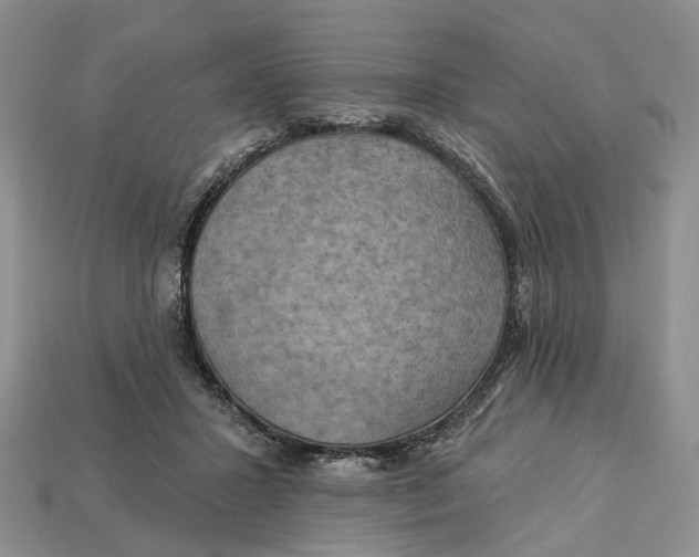 X0000113050407200909241459