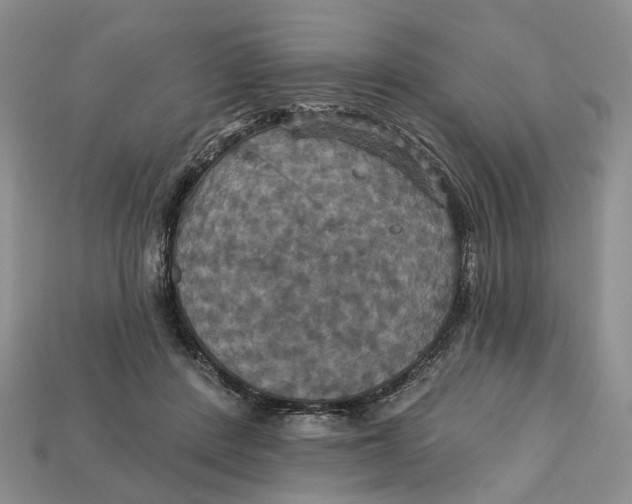X0000113050408200909241459