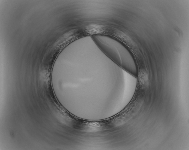 X0000113050409200909241459