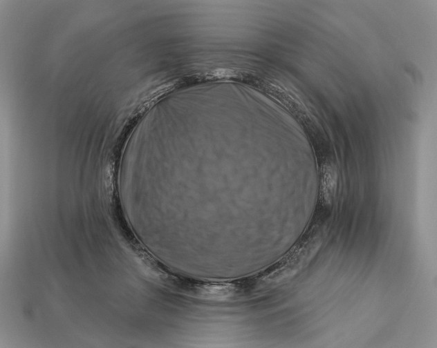 X0000113050410200909241459