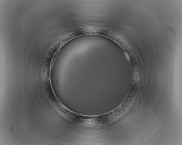 X0000113050411200909241459