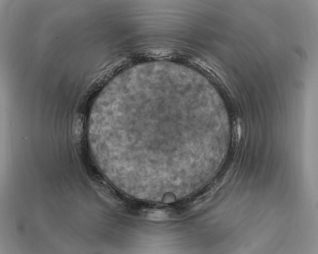 X0000113050412200909241459