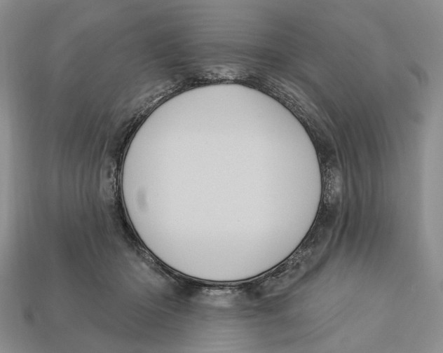 X0000113050414200909241459