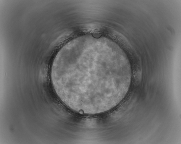 X0000113050416200909241459