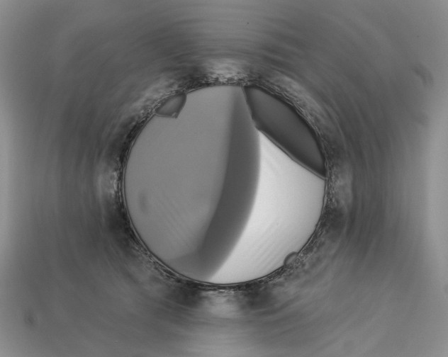 X0000113050417200909241459
