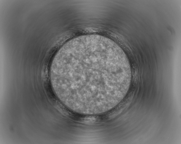 X0000113050418200909241459