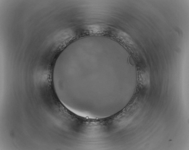 X0000113050419200909241459