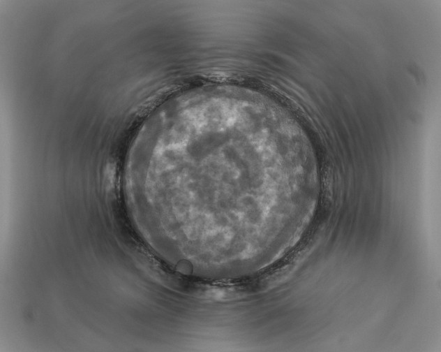 X0000113050420200909241459