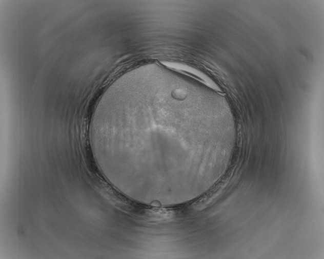 X0000113050421200909241459