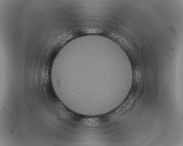 X0000113050422200909241459