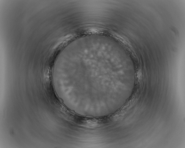 X0000113050423200909241459