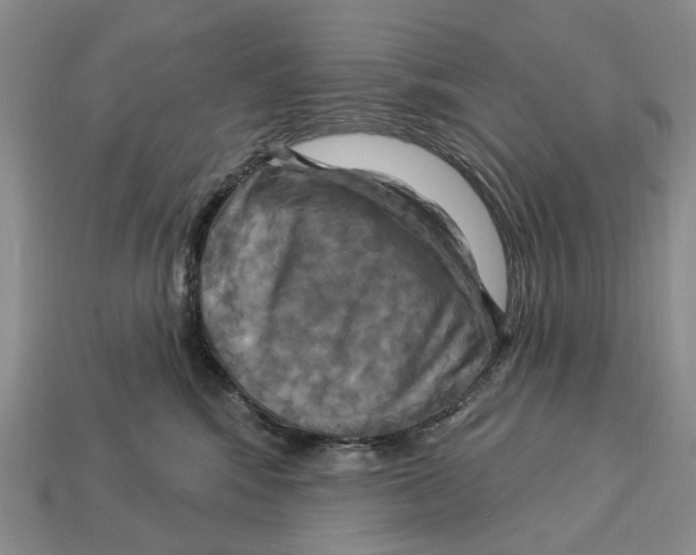X0000113050424200909241459