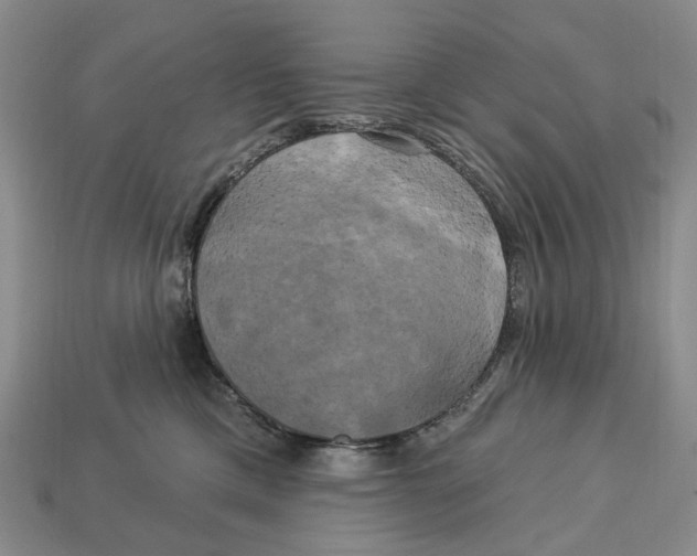 X0000113050425200909241459
