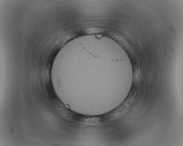 X0000113050426200909241459
