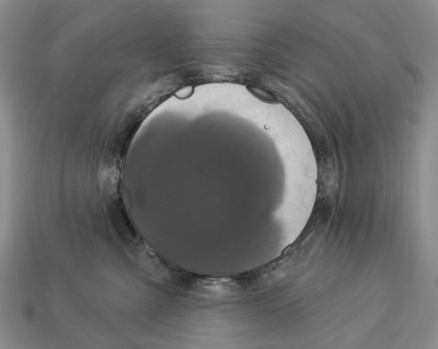 X0000113050427200909241459