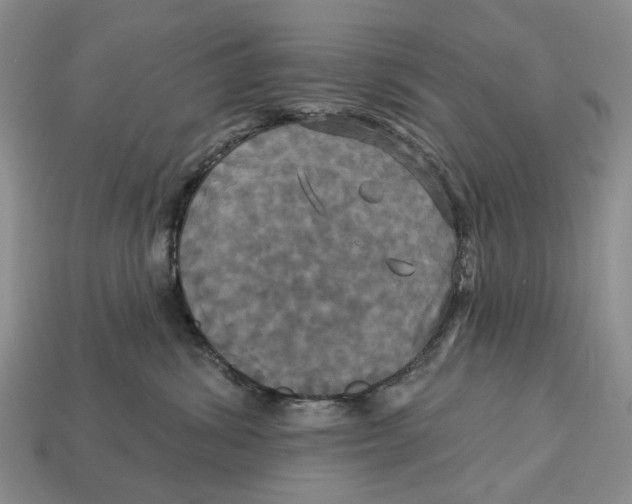 X0000113050428200909241459