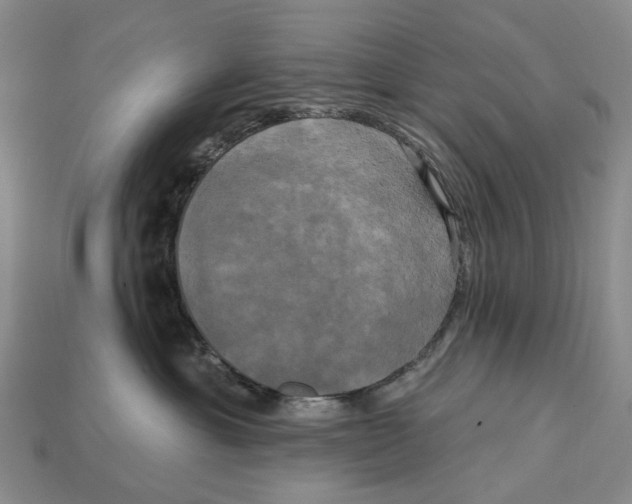 X0000113050429200909241459