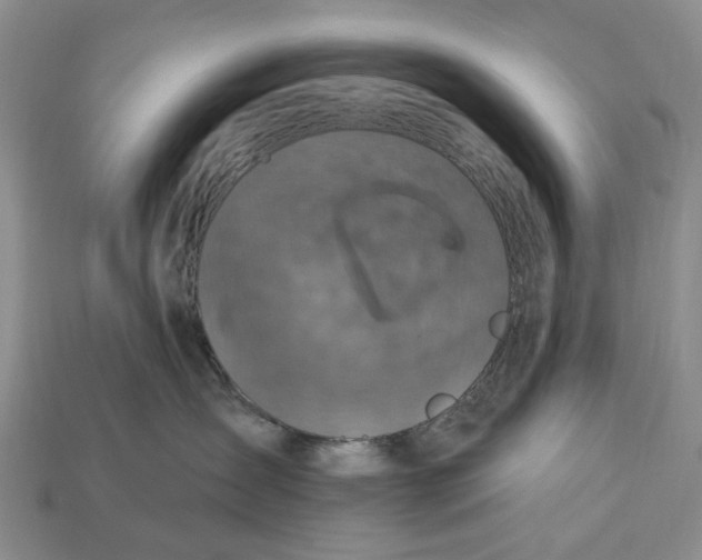 X0000113050431200909241459