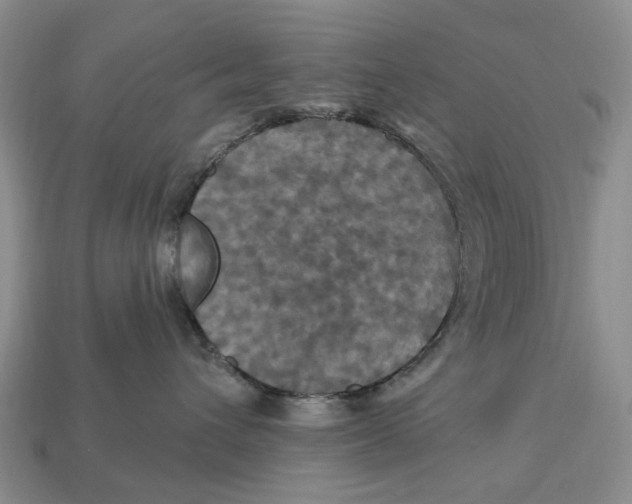 X0000113050432200909241459