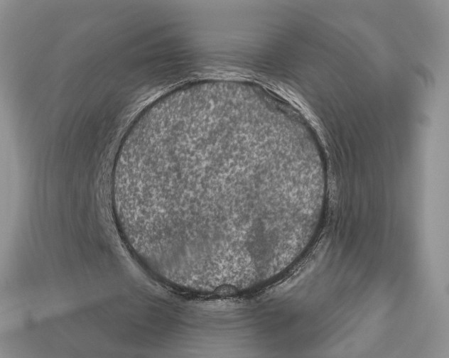 X0000113050433200909241458