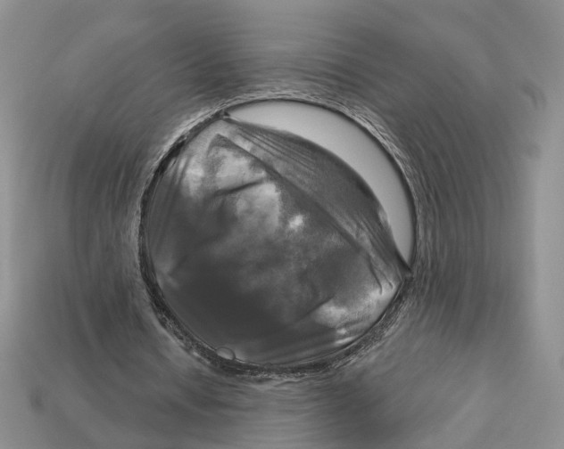 X0000113050434200909241458