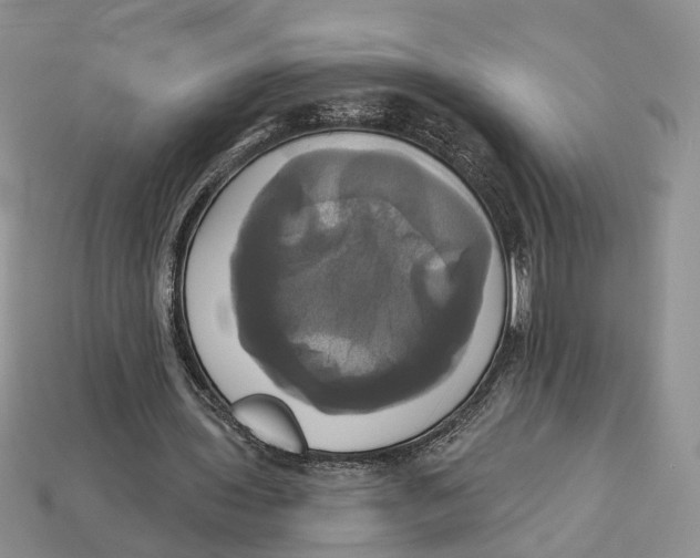 X0000113050435200909241458