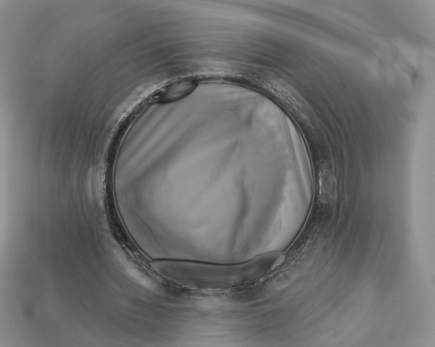 X0000113050436200909241458
