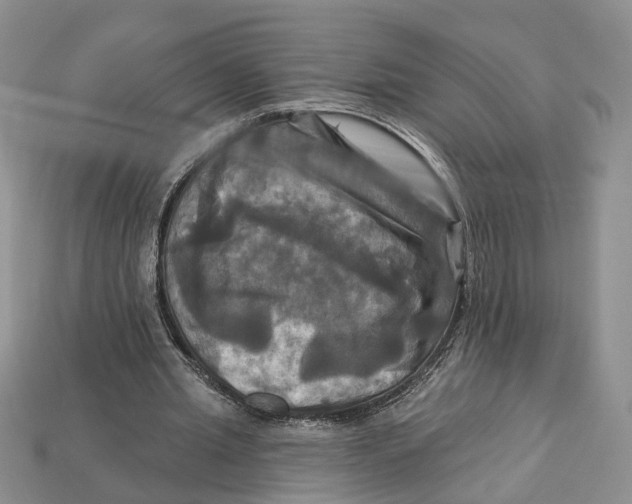 X0000113050437200909241458