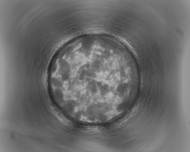 X0000113050439200909241458