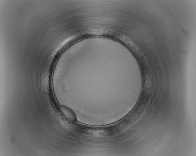 X0000113050440200909241458
