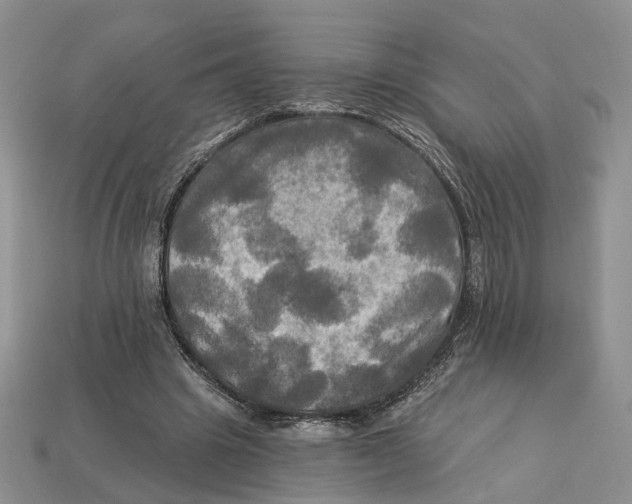 X0000113050441200909241458