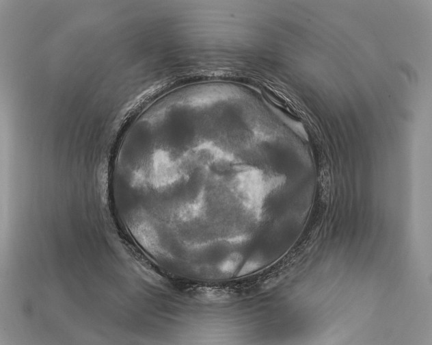 X0000113050442200909241458