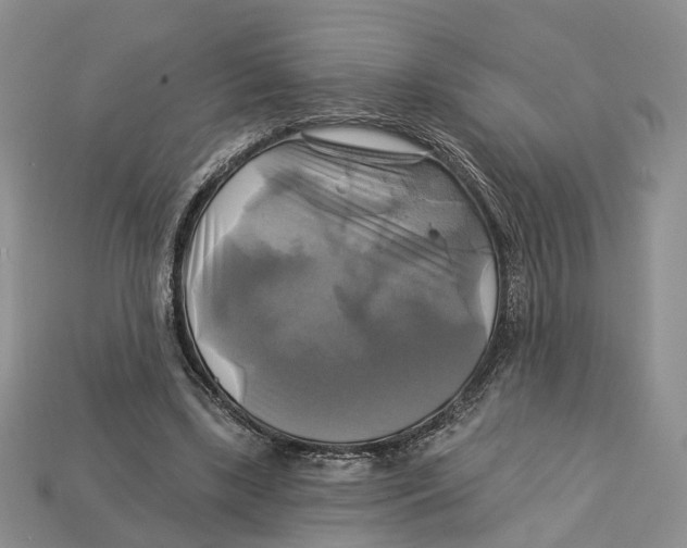 X0000113050443200909241458