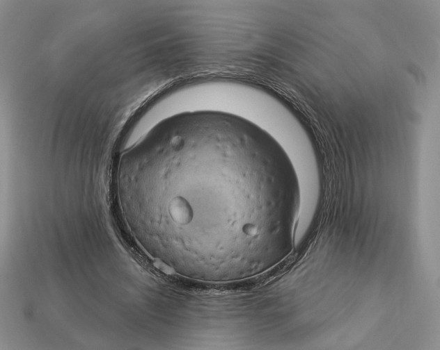 X0000113050444200909241458