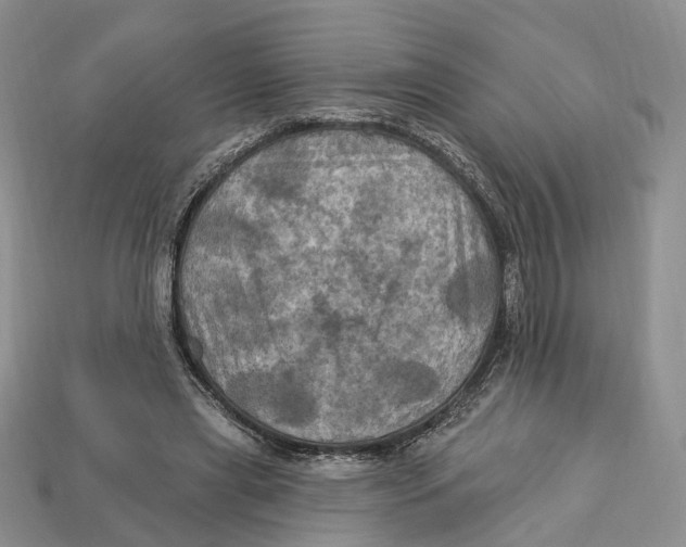 X0000113050445200909241458