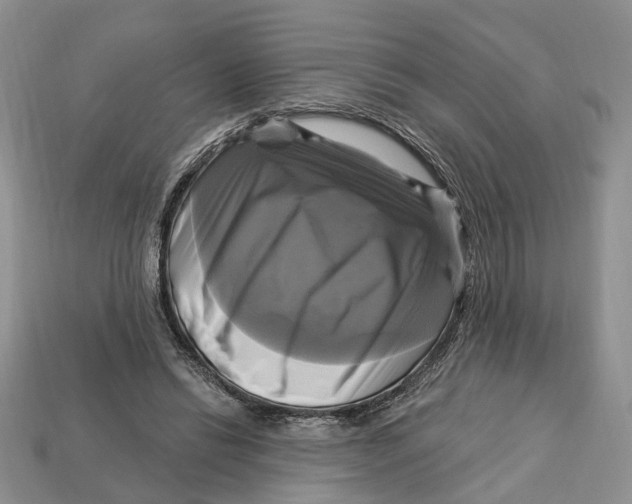 X0000113050446200909241458