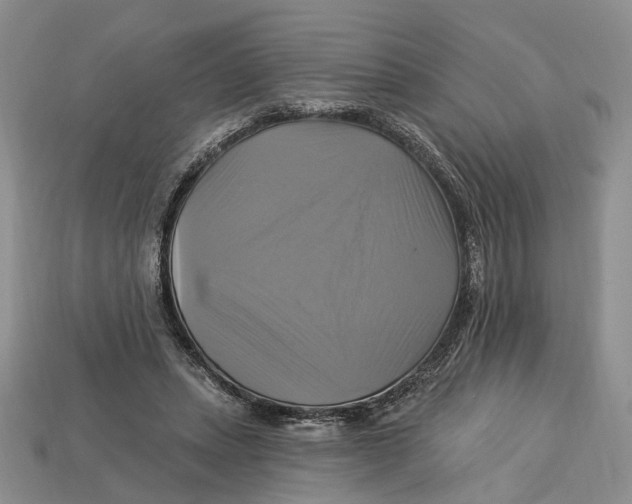 X0000113050447200909241458