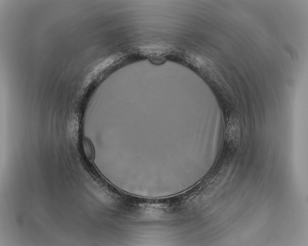 X0000113050448200909241458