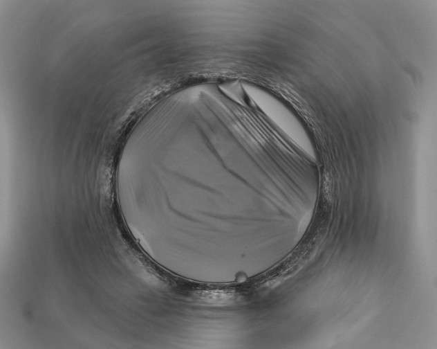 X0000113050449200909241458