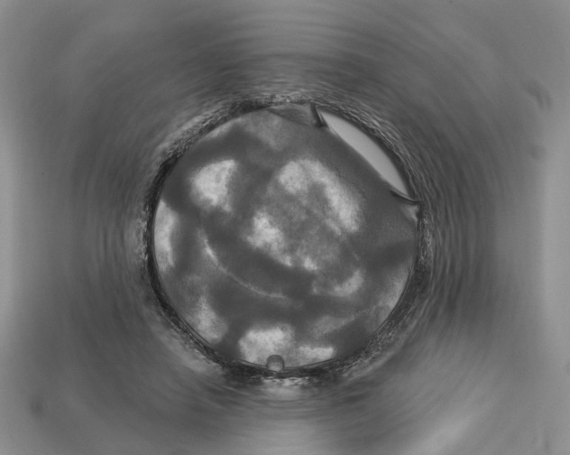 X0000113050450200909241458