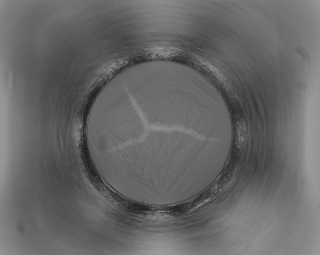 X0000113050451200909241458