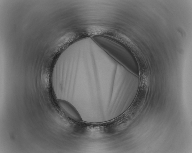 X0000113050452200909241458